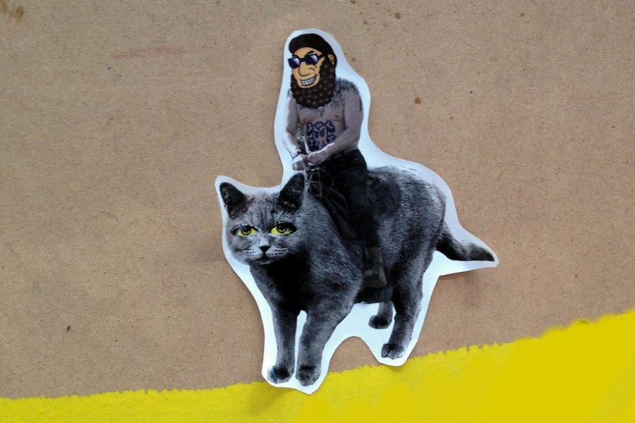 Monkey with sunglasses riding a cat